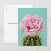 Roze Bloom Atop Spiky Cactus Briefkaart (Voorkant / Achterkant)