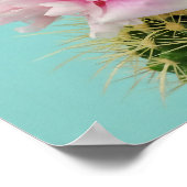 Roze Bloom Atop Spiky Cactus Poster (Hoek)