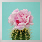 Roze Bloom Atop Spiky Cactus Poster (Voorkant)