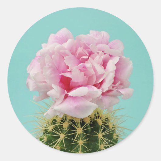 Roze Bloom Atop Spiky Cactus Ronde Sticker (Voorkant)