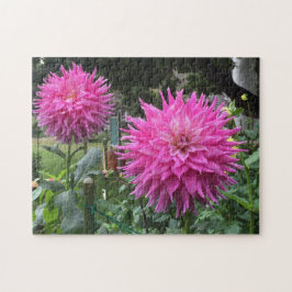 Roze blooming Dahlia Flowers Legpuzzel
