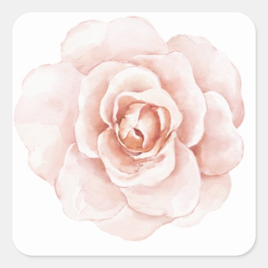 Roze Blos Waterverf Elegante Bloemrijke Romantisch Vierkante Sticker (Voorkant)
