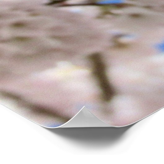 Roze Blossom Balls Poster (Hoek)