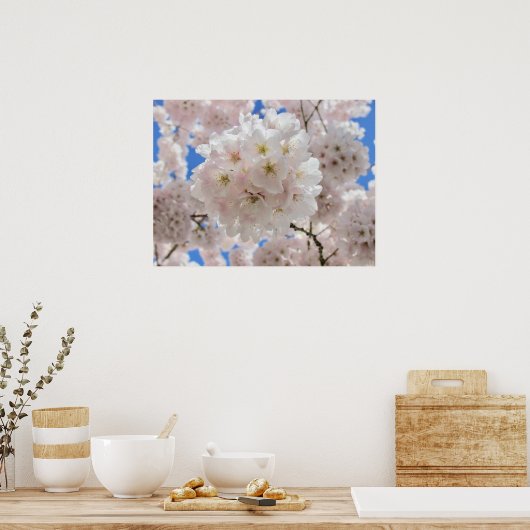Roze Blossom Balls Poster (Keuken)