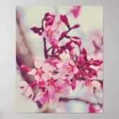  roze Blossom Foto Poster (Voorkant)