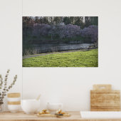  roze blote bomen Pond Poster (Keuken)