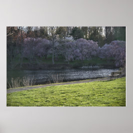  roze blote bomen Pond Poster