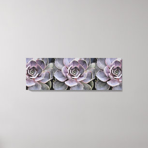 Roze - Blue-Grey Echeveria "Roos" Succulent Plan Canvas Afdruk