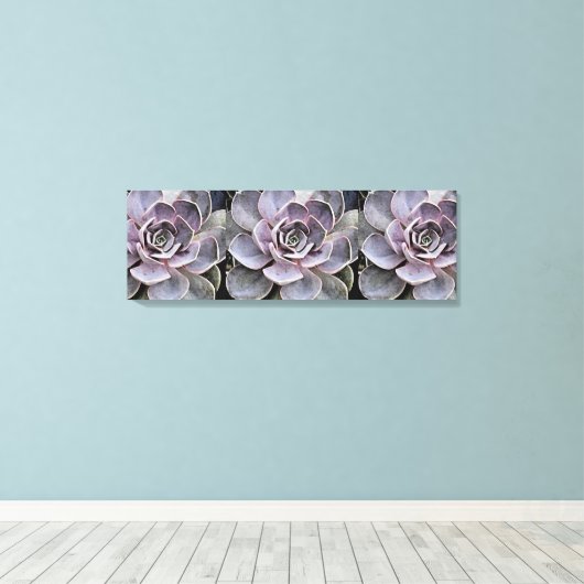 Roze - Blue-Grey Echeveria "Roos" Succulent Plan Canvas Afdruk (Insitu (Houten vloer))