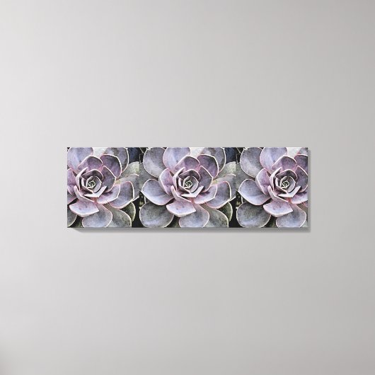 Roze - Blue-Grey Echeveria "Roos" Succulent Plan Canvas Afdruk (Voorkant)