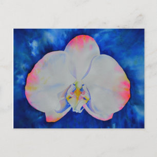 Roze Blush Orchid Briefkaart