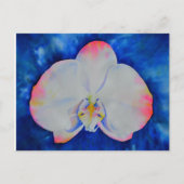 Roze Blush Orchid Briefkaart (Voorkant)