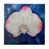 Roze Blush Orchid Tegeltje (Voorkant)