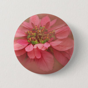 Roze Blush Poinsettia's Digitale Kunst Ronde Button 5,7 Cm