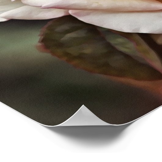 Roze Blush Roos Vloerkunst Poster (Hoek)