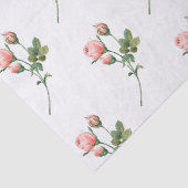 Roze Blushing Roos Kleine Bedrijven Verpakking Tissuepapier (Detail)