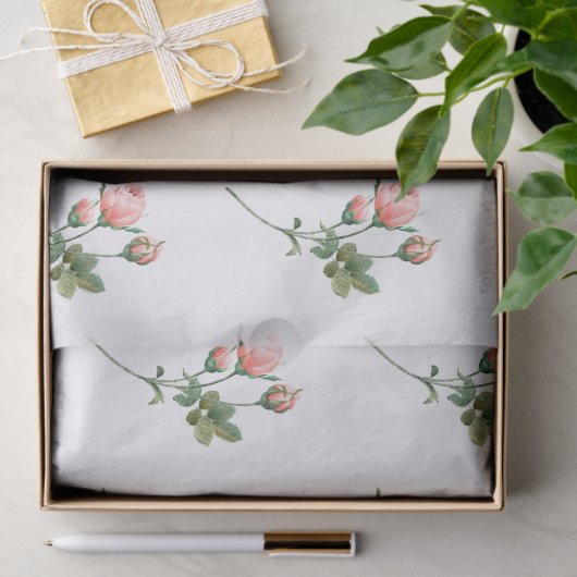 Roze Blushing Roos Kleine Bedrijven Verpakking Tissuepapier (Geschenk)