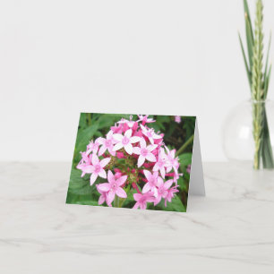 Roze boeket v2 kaart