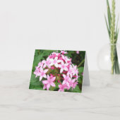 Roze boeket v2 kaart (Voorkant)