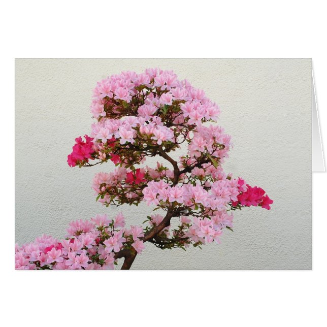 Roze Bonsai-boom (Voorkant Horizontaal)