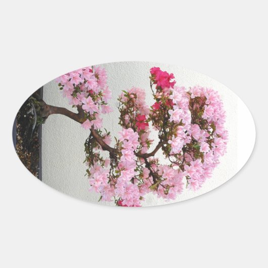 Roze bonsai-stickers ovale sticker (Voorkant)