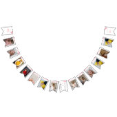 Roze boog mijlpaal banner, 12 maanden, verjaardag vlaggetjes (Alle)