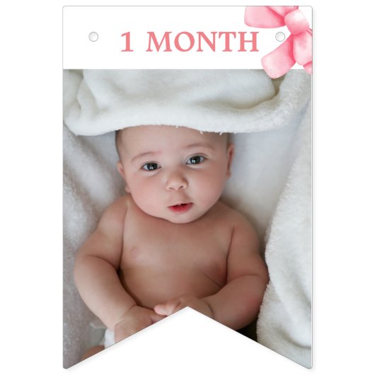 Roze boog mijlpaal banner, 12 maanden, verjaardag vlaggetjes (Derde vlag)