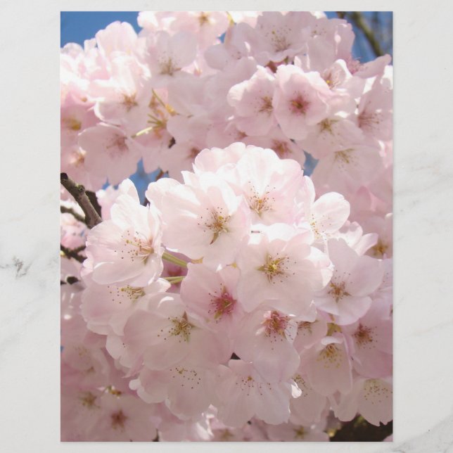Roze boom bloesem bloemen scrapbooking papier (Voorkant)