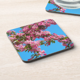 Roze boom bloesem en blauwe lucht foto bier onderzetter