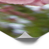 Roze Boom Bloesems Fijne Kunst Prints Lente (Hoek)