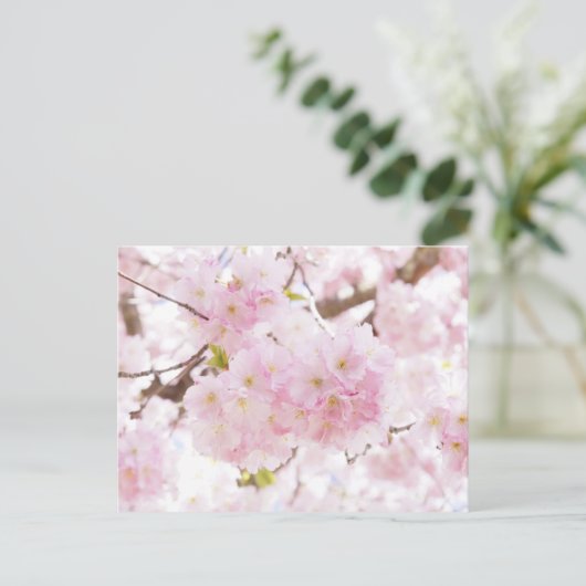 Roze boom Cherry Blossom Briefkaart (Staand voorkant)