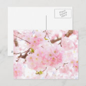 Roze boom Cherry Blossom Briefkaart (Voorkant / Achterkant)