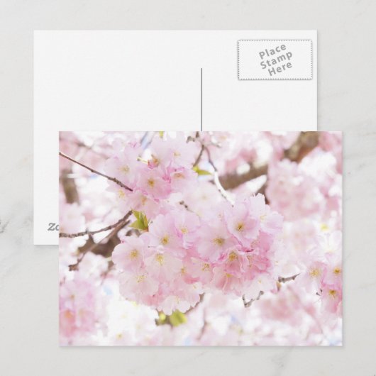 Roze boom Cherry Blossom Briefkaart (Voorkant / Achterkant)