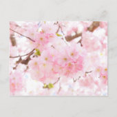 Roze boom Cherry Blossom Briefkaart (Voorkant)