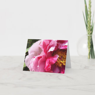 Roze boom Peony Notecard Kaart
