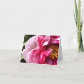 Roze boom Peony Notecard Kaart (Voorkant)