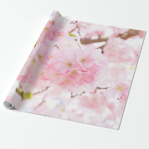 Roze boom Sakura Cherry Blossom Cadeaupapier