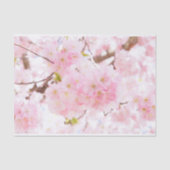 Roze boom Sakura Cherry Blossom Tissuepapier (Voorkant)