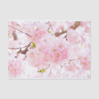 Roze boom Sakura Cherry Blossom Tissuepapier