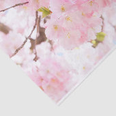Roze boom Sakura Cherry Blossom Tissuepapier (Detail)
