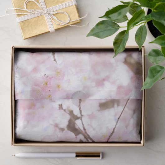 Roze boom Sakura Cherry Blossom Tissuepapier (Geschenk)