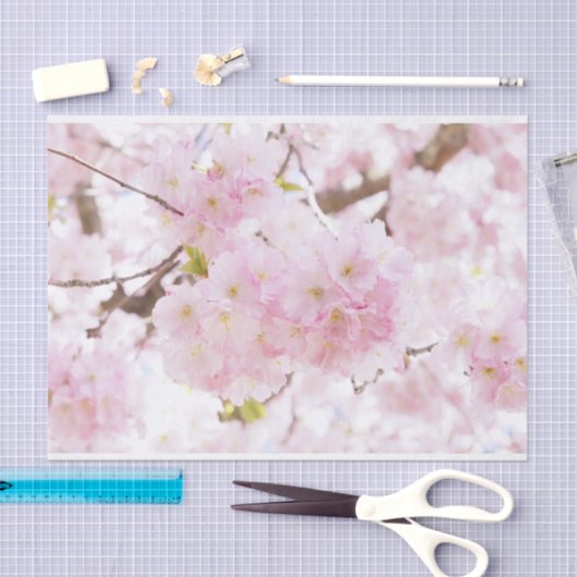 Roze boom Sakura Cherry Blossom Tissuepapier (Craft)