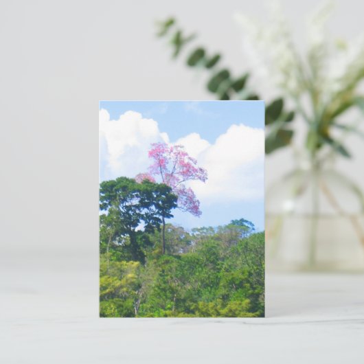 Roze boom Venezolaanse Oerwoud Landschap Briefkaart (Staand voorkant)