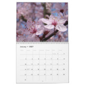 Roze boombloesems Witte bloesems Apple Kalender (Jan 2027)
