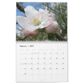 Roze boombloesems Witte bloesems Apple Kalender (Feb 2027)