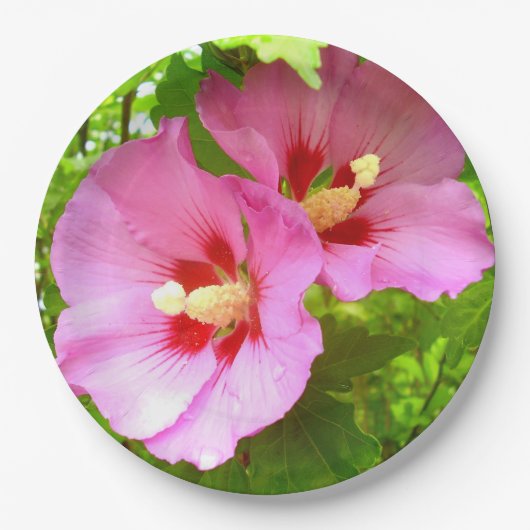 Roze Bord van hibiscus Paper (Voorkant)