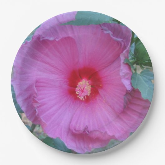 Roze Bord van hibiscus Paper (Voorkant)