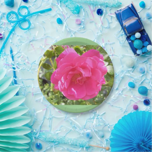Roze Bord van rozenpapier (Feest)