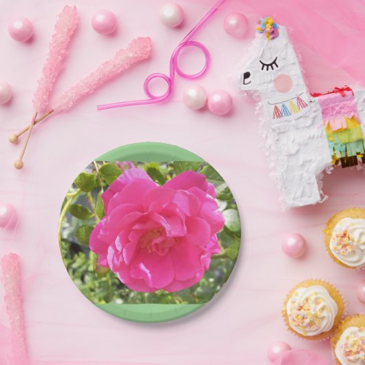 Roze Bord van rozenpapier (Feest)