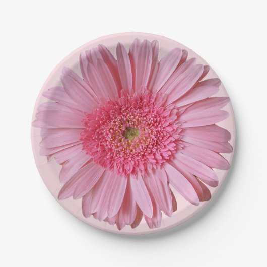 Roze Borden van Gerber Daisy Paper Papieren Bordje (Voorkant)